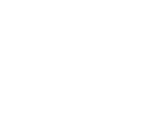 logo-villgoods-white